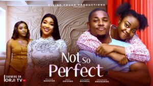 Not So Perfect (2025) – Nollywood
