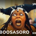 Ajiboosasoro (2025)