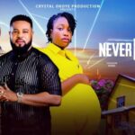 Never Loved (2025)
