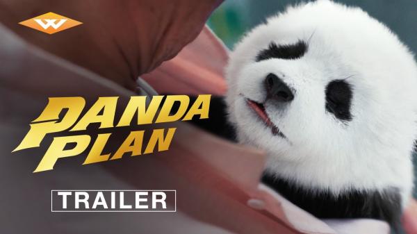Panda Plan (2024)