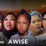 Awise (2025)