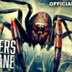 Spiders on a Plane (2024)