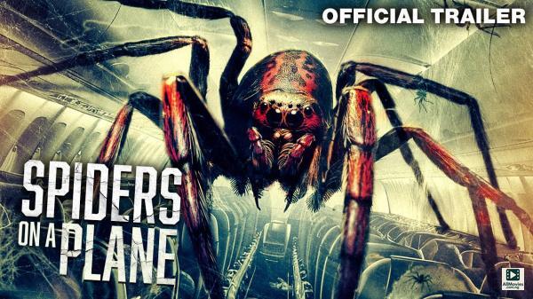 Spiders on a Plane (2024)