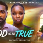 Too Good to Be True (2025)