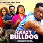 Crazy Bulldog (2025)