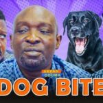 Dog Bite (2025)