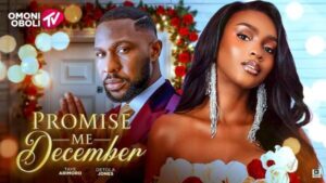 Promise Me December (2025)